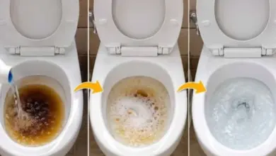 Como Limpar Vaso Sanitário Encardido e Deixar Novo Usando Apenas Dois Ingredientes
