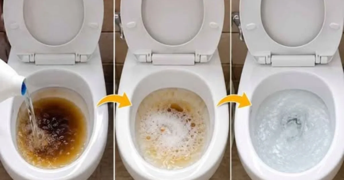 Como Limpar Vaso Sanitário Encardido e Deixar Novo Usando Apenas Dois Ingredientes