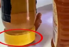 Como saber se o mel é verdadeiro? Um teste simples viralizou, mas há um detalhe importante