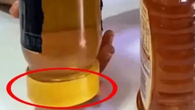 Como saber se o mel é verdadeiro? Um teste simples viralizou, mas há um detalhe importante