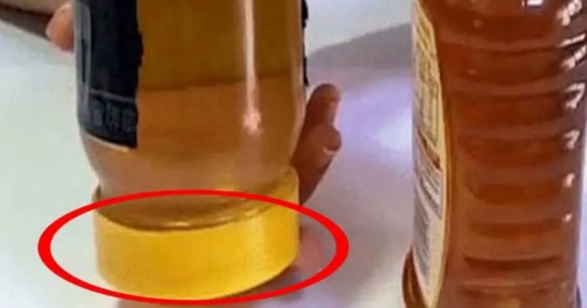Como saber se o mel é verdadeiro? Um teste simples viralizou, mas há um detalhe importante