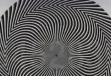 Desafio Visual: Você Consegue Descobrir o Número Escondido Nesta Imagem?