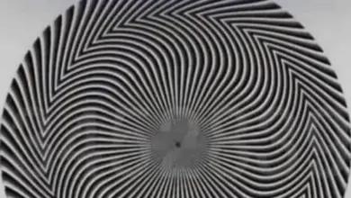 Desafio Visual: Você Consegue Descobrir o Número Escondido Nesta Imagem?
