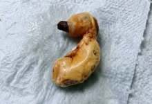 Ela encontrou um objeto estranho debaixo da cama do filho e descobriu como o medo pode enganar o cérebro