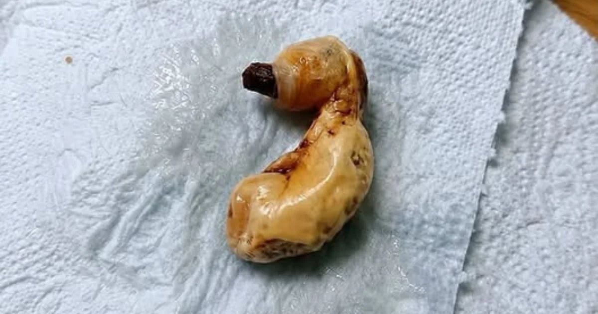 Ela encontrou um objeto estranho debaixo da cama do filho e descobriu como o medo pode enganar o cérebro