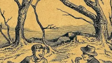 Encontre o porco escondido na imagem: você consegue descobrir onde ele está?