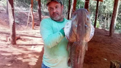 Gerente de fazenda morre após ser atingido por disparo acidental durante caçada
