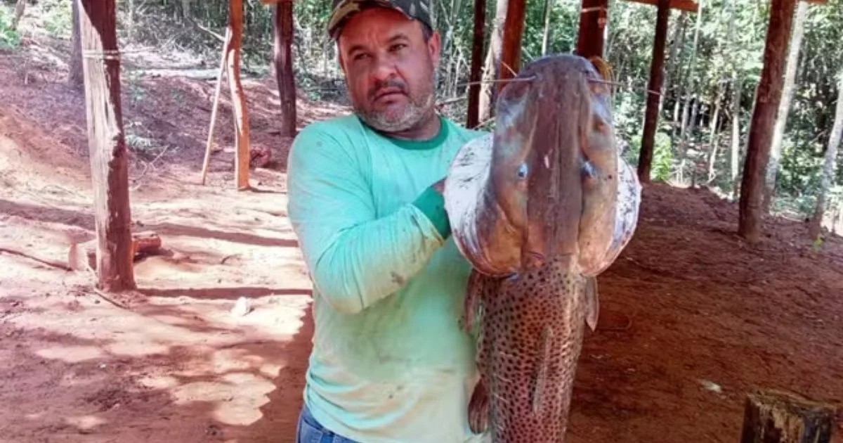 Gerente de fazenda morre após ser atingido por disparo acidental durante caçada