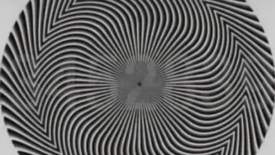 Ilusão de ótica: você consegue encontrar o número escondido nesta imagem?