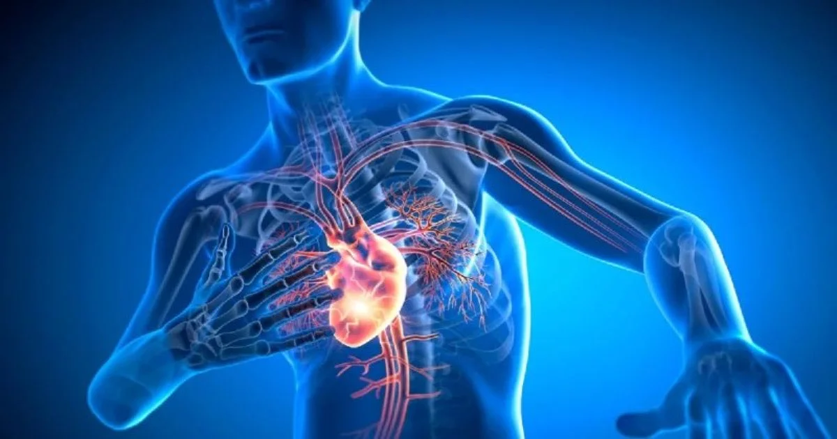 Infarto pode dar sinais além de dor no peito: conheça os sintomas