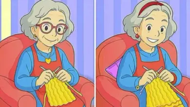 Já viu esta imagem várias vezes? O desafio das 15 diferenças que está prendendo a atenção de muita gente