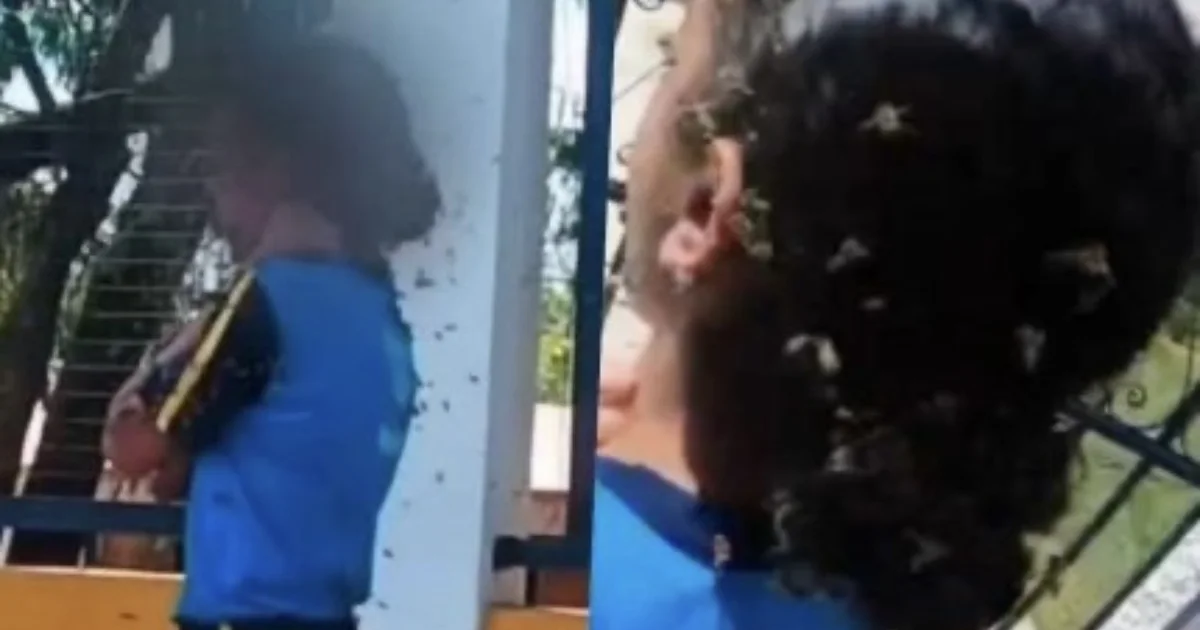 Menina socorrida por motoboy após ataque de abelhas surpreende ao revelar como está