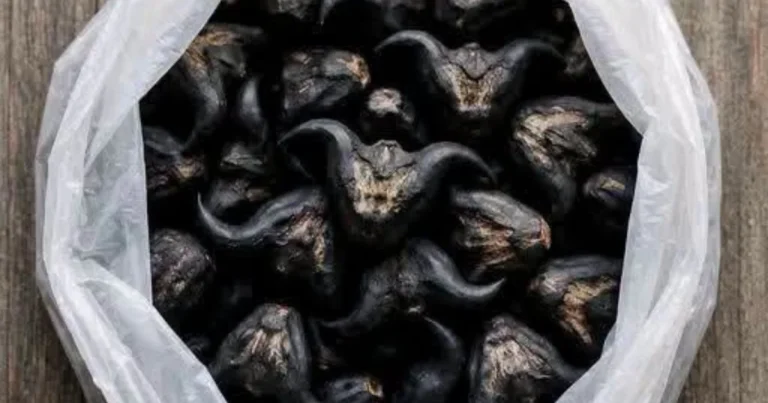 Meu vizinho me deu uma bolsa com isso: você sabe o que é e como essa fruta estranha é consumida?