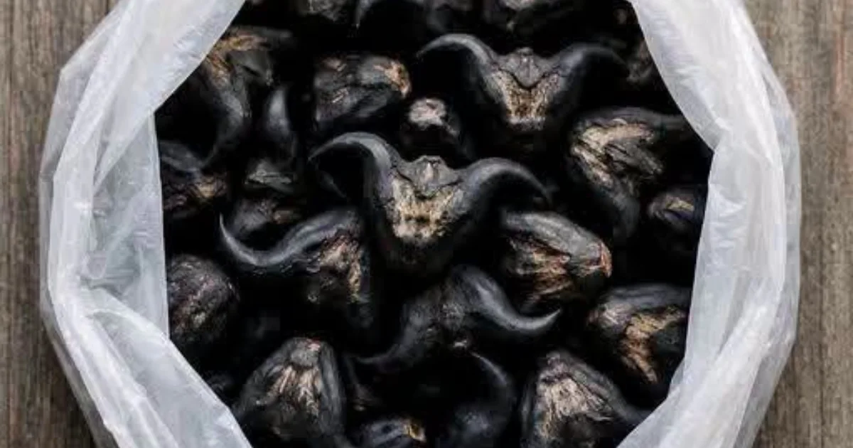 Meu vizinho me deu uma bolsa com isso: você sabe o que é e como essa fruta estranha é consumida?