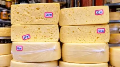 Misturei Vinagre no Leite e Fiz um Queijo Caseiro Igual ao da Fazenda: Uma Delícia Fácil de Preparar
