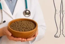 O alimento que pode ajudar a manter as pernas fortes com o passar da idade