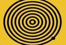 O Número de Círculos que Você Vê Pode Revelar Algo Sobre Sua Personalidade? Entenda o Desafio Visual