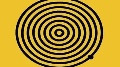 O Número de Círculos que Você Vê Pode Revelar Algo Sobre Sua Personalidade? Entenda o Desafio Visual
