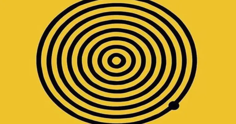 O Número de Círculos que Você Vê Pode Revelar Algo Sobre Sua Personalidade? Entenda o Desafio Visual