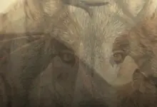 O Primeiro Animal que Você Enxergar Nesta Imagem Pode Revelar Traços da Sua Personalidade: Faça o Teste!