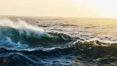 Oceano Pacífico bate recorde de aquecimento