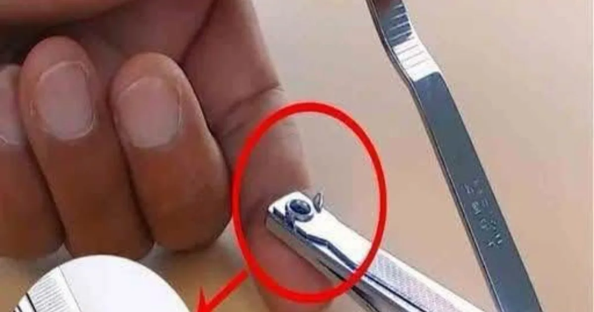 Para que serve aquele furinho no cortador de unha? A resposta é mais simples do que parece