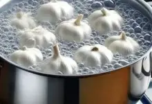 Por que tanta gente ferve alho na água?
