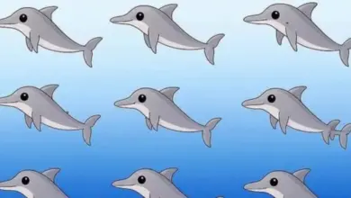 Poucas pessoas conseguem encontrar o número exato de golfinhos nesta imagem