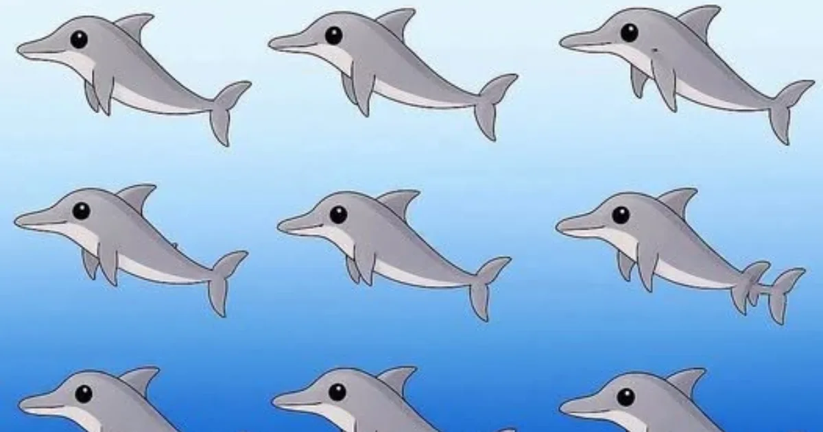 Poucas pessoas conseguem encontrar o número exato de golfinhos nesta imagem