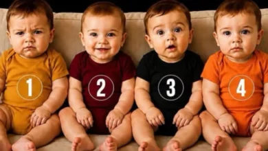Qual bebê você escolheria? O teste visual que está despertando a curiosidade de muita gente