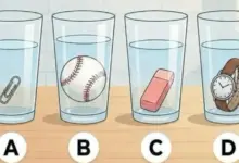 Qual copo contém mais água? A resposta parece óbvia, mas o detalhe está nos objetos dentro deles