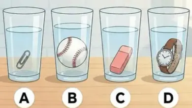 Qual copo contém mais água? A resposta parece óbvia, mas o detalhe está nos objetos dentro deles