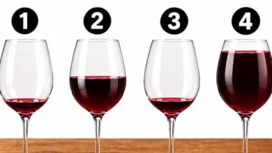 Qual das Taças de Vinho Está Cheia Corretamente? Descubra o Jeito Ideal de Servir a Bebida