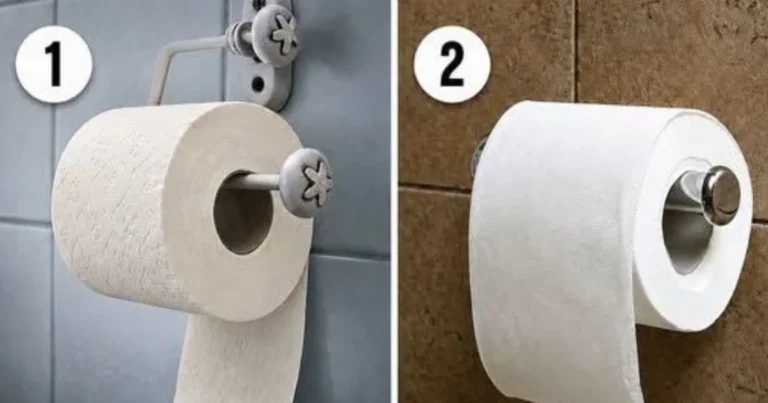 Qual é a forma correta de pendurar o papel higiênico? A resposta pode surpreender