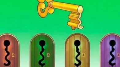 Qual é a porta certa? Poucos conseguem encontrar a resposta deste desafio visual