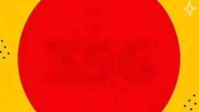 Qual número você consegue ver dentro do círculo? O desafio visual que está confundindo muita gente