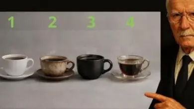 Qual xícara de café chamou sua atenção primeiro? Escolha revela curiosidades sobre sua personalidade