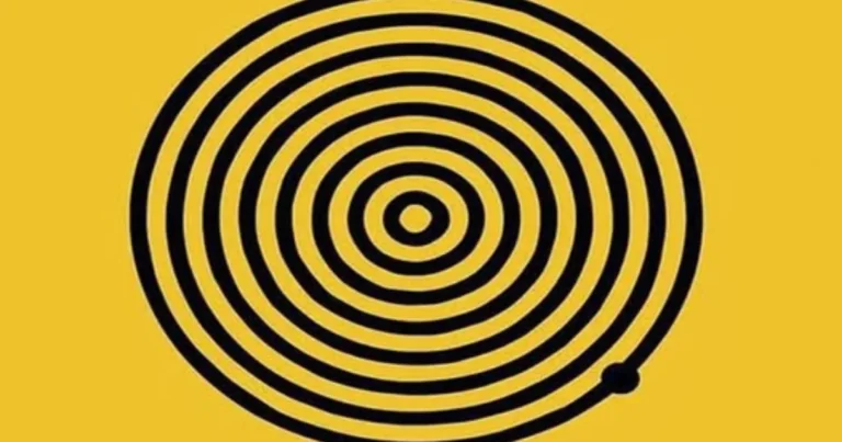 Quantos círculos você consegue ver? O teste visual que está chamando atenção