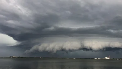 Tempestade com ventos de até 100 km/h coloca 208 cidades do Paraná sob alerta