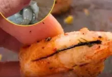 Veia Preta do Camarão: O Que É, Para Que Serve e O Que Acontece se Você Comer?
