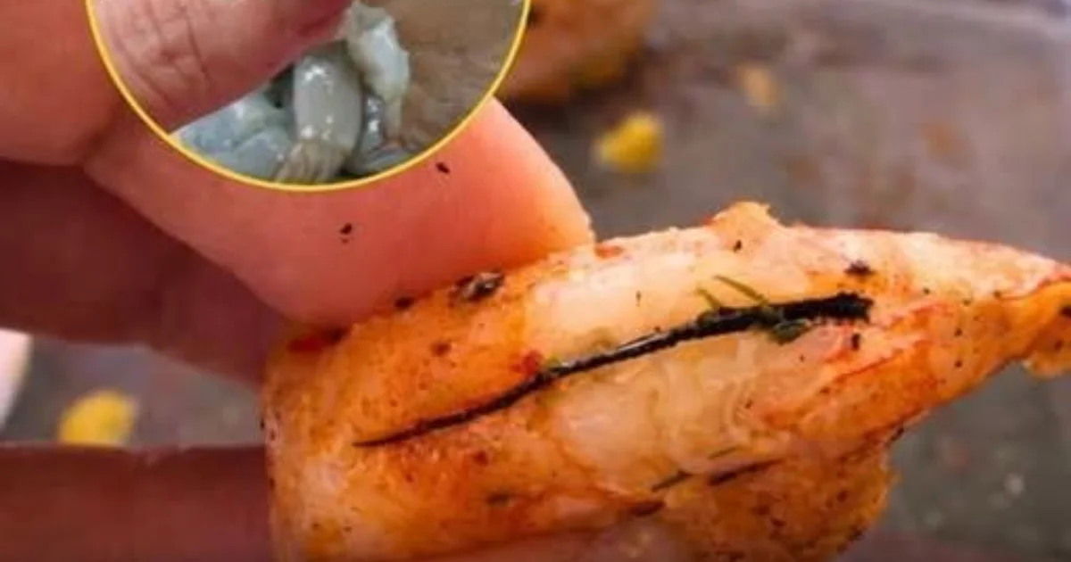 Veia Preta do Camarão: O Que É, Para Que Serve e O Que Acontece se Você Comer?