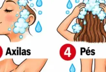 A Primeira Parte do Corpo Que Você Lava no Chuveiro Pode Revelar Algo Sobre Sua Personalidade?