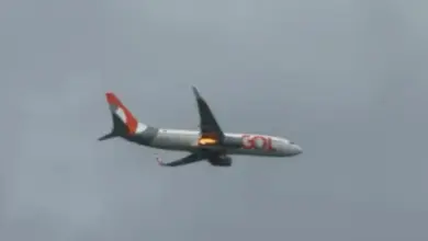 Avião da Gol decola de Recife e tem problema após colisão