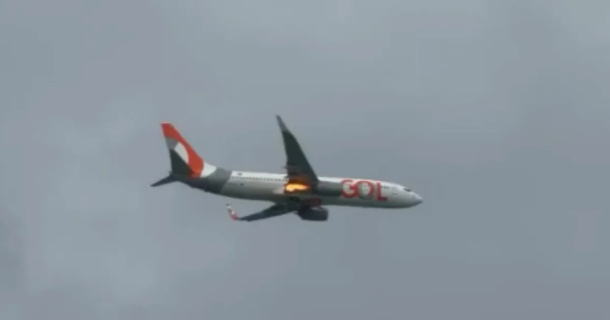 Avião da Gol decola de Recife e tem problema após colisão