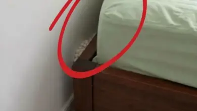 Bolinhas brancas aparecem atrás da cama e chamam a atenção: o que pode ser esse material?