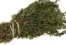 Conheça a planta aromática que ganhou fama por seus possíveis benefícios