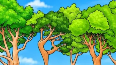 Desafio visual: você consegue encontrar a bailarina escondida na floresta em apenas 8 segundos?