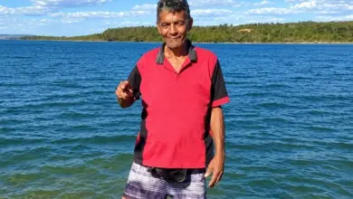 Idoso de Goiânia morre após picada de formiga