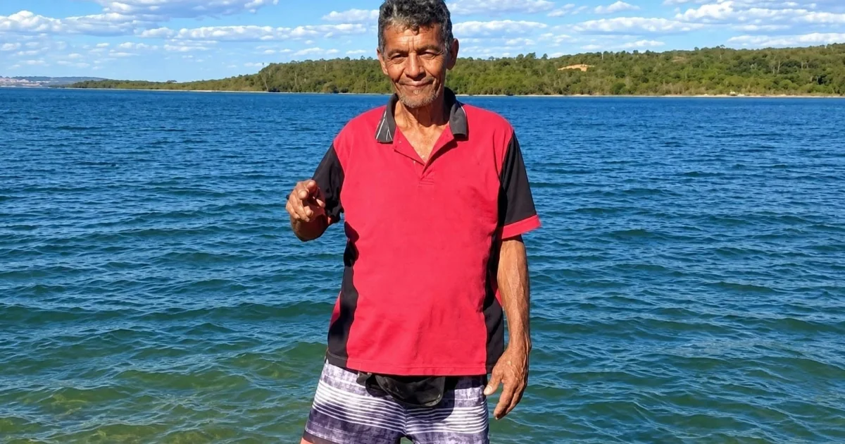 Idoso de Goiânia morre após picada de formiga