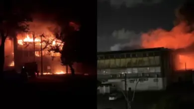Incêndio atinge UFPE pela terceira vez em uma semana e destrói material acumulado por 20 anos